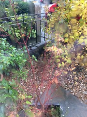 Acer Help Please!
