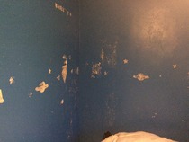 Valspar Premium Walls & Ceilings Paint Feedback Thread - £300 to be won for feedback NOW CLOSED