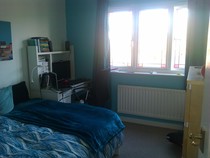 Colours/ideas for decorating a teenage boy's bedroom?