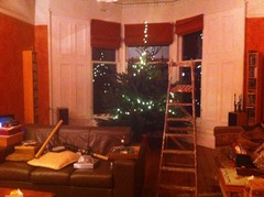 Real or fake Christmas tree? Share your opinions with Homebase for a chance to win a £300 Homebase voucher. NOW CLOSED