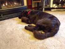 The Brave Babes Battle Bus - Waving Goodbye To Summer Nights, Sipping Mocktails.