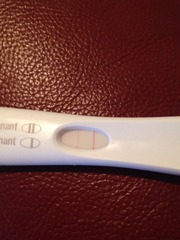 Let's talk evap lines......