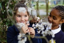 Want to find out more about Oasis Academy Putney?