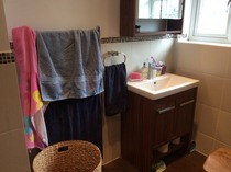 Choose my bathroom towels please! (with photos)
