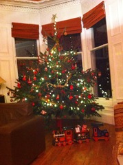 Real or fake Christmas tree? Share your opinions with Homebase for a chance to win a £300 Homebase voucher. NOW CLOSED