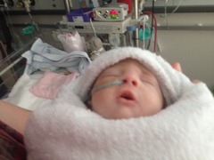 Continuing a Pregnancy with a lethal diagnosis