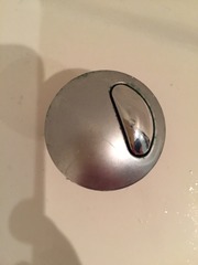Toilet problems - PigletJohn or any clever person to help please!
