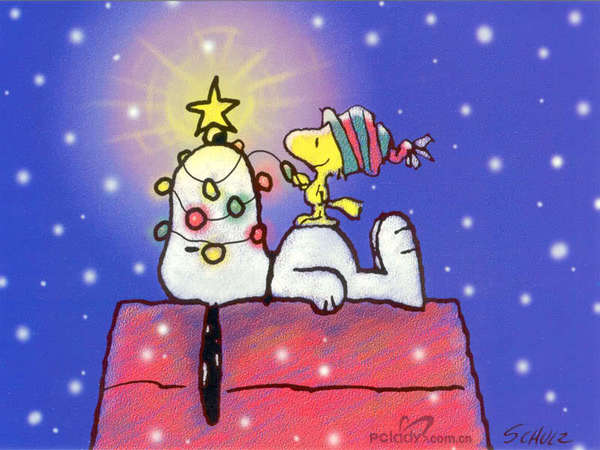My favourite Christmas present is..