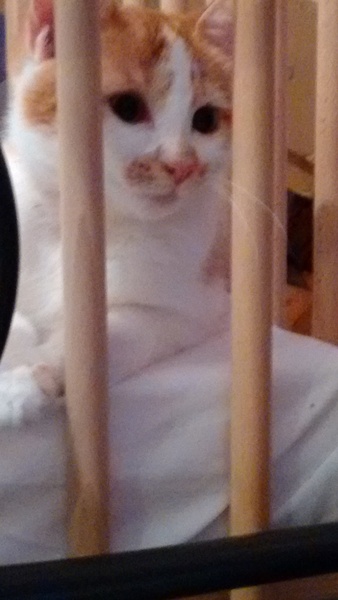 August 2015. It's all about food consumption and late nights at Bar Mugabe Nights