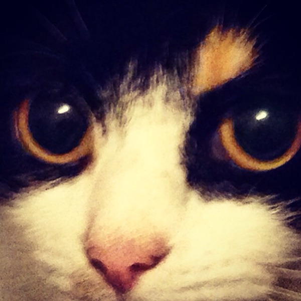 Look at my Precious Baby Fur Princess