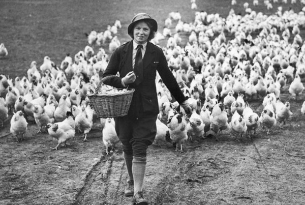 Mother wants to bring a chicken to my vegetarian Christmas dinner