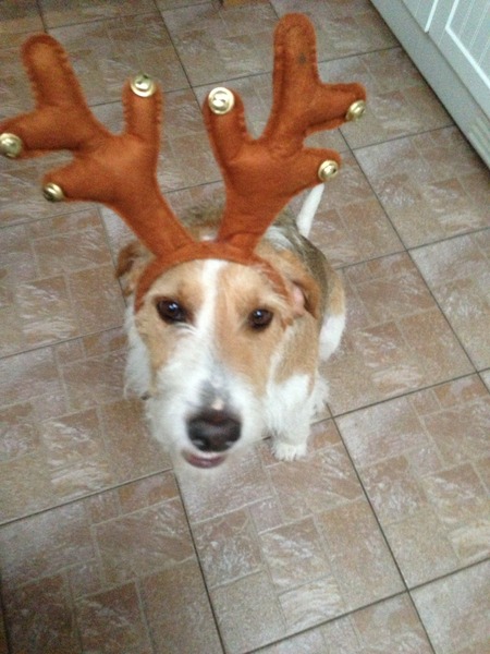 Happy Christmas pics!