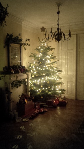 Festive building work, house moving and fledglings flying. Gotta be the December thread.
