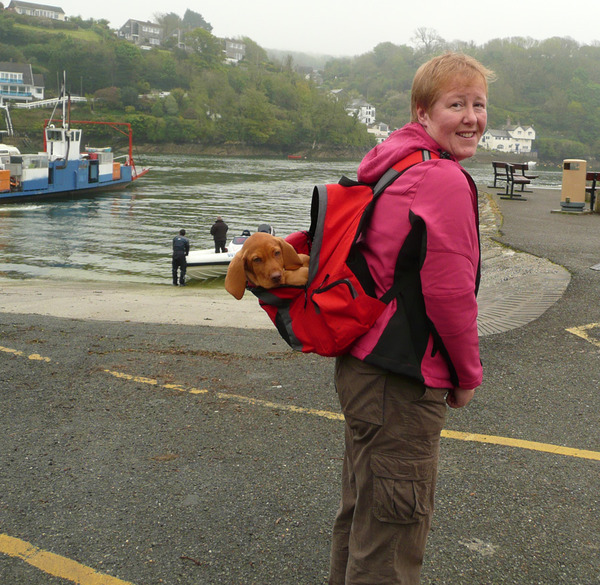 Tell us about (or show us!) the funniest places you've found your pet for a chance to win a Christmas hamper worth £100 and a copy of Oi Frog! by Kes Gray and Jim Field.