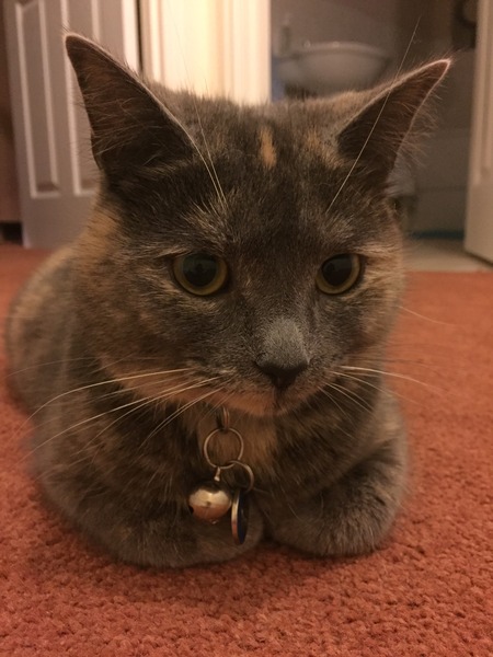 Look at my Precious Baby Fur Princess