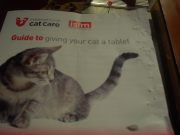 Best ways to make a cat swallow antibiotics?