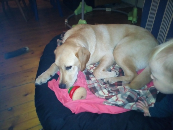 November 2014: The one that needs baby-proofing!