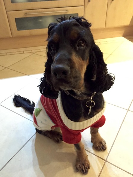 parkrunners (AOWALC, #DFYB) Anonymous Keep on Going 5K at a time