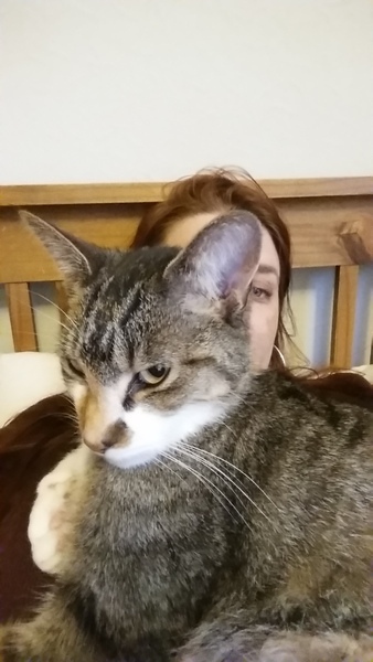 Tell us about (or show us!) the funniest places you've found your pet for a chance to win a Christmas hamper worth £100 and a copy of Oi Frog! by Kes Gray and Jim Field.