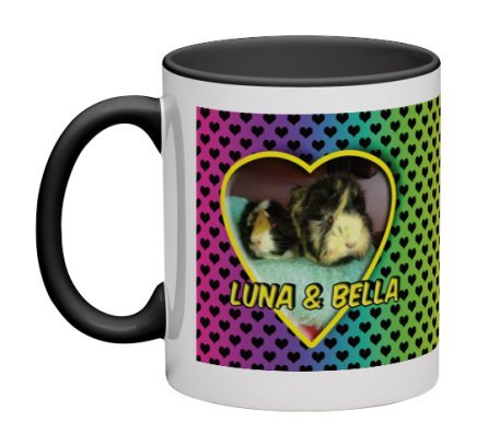 Christmas Presents for The Super Furry Animals