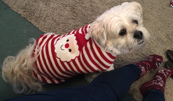 Happy Christmas pics!