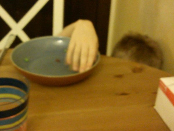 Mother wants to bring a chicken to my vegetarian Christmas dinner