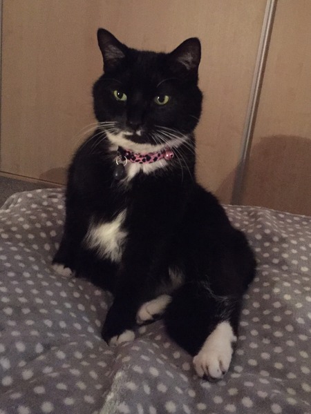 Look at my Precious Baby Fur Princess