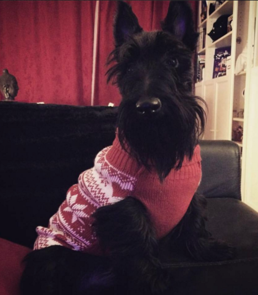 Happy Christmas pics!