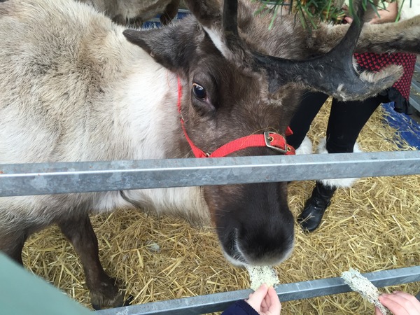 O come all ye festive frugaleers, gather round for festive chat and frugaleering