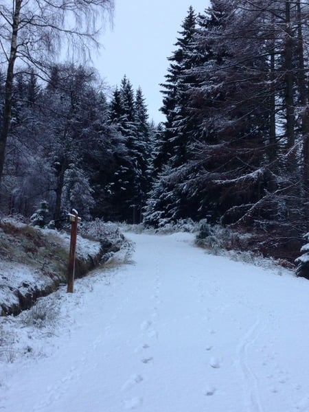 Running thread part 8