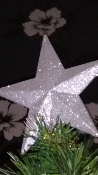 What tops your tree and why?