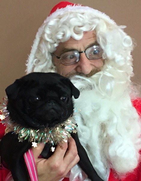 Happy Christmas pics!
