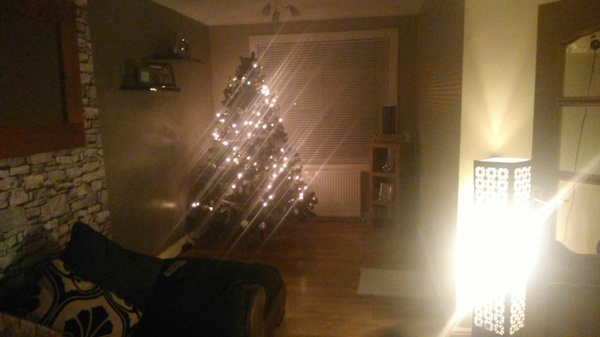 Is it up yet? (your tree that is!)