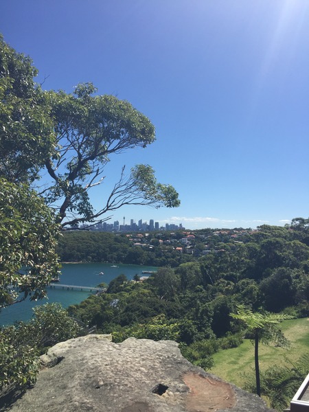 is there a new boot camp starting soon? or in Jan?