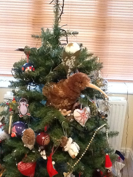 Tell us about (or show us!) the funniest places you've found your pet for a chance to win a Christmas hamper worth £100 and a copy of Oi Frog! by Kes Gray and Jim Field.