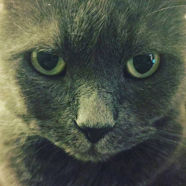 Look at my Precious Baby Fur Princess