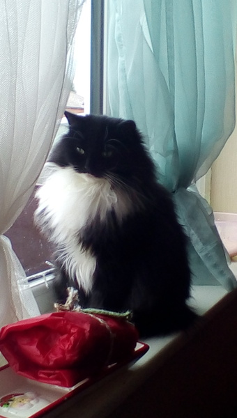 Look at my Precious Baby Fur Princess