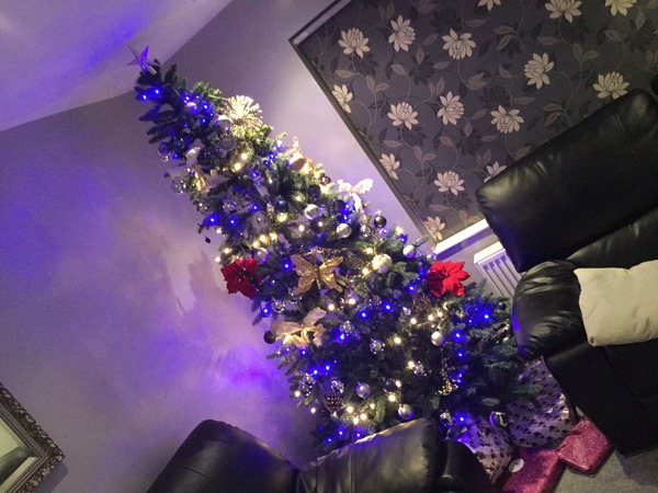 Is it up yet? (your tree that is!)