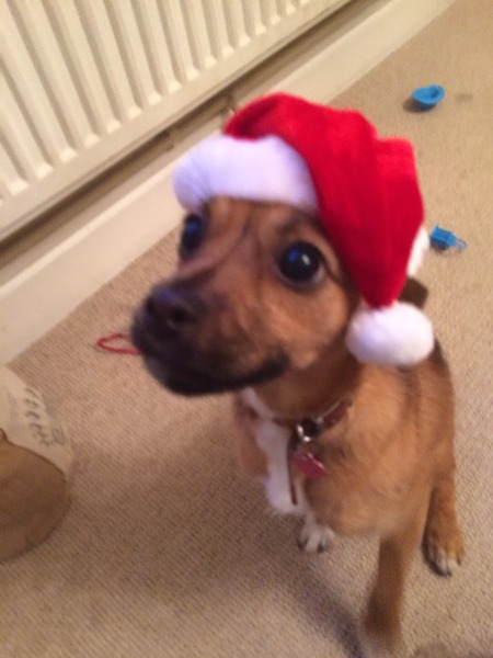 Happy Christmas pics!