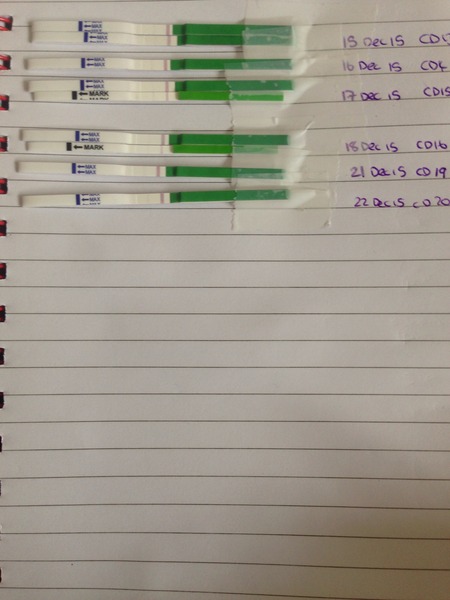 Would you be my Infertility/Clomid/Follicle tracking friend please?!