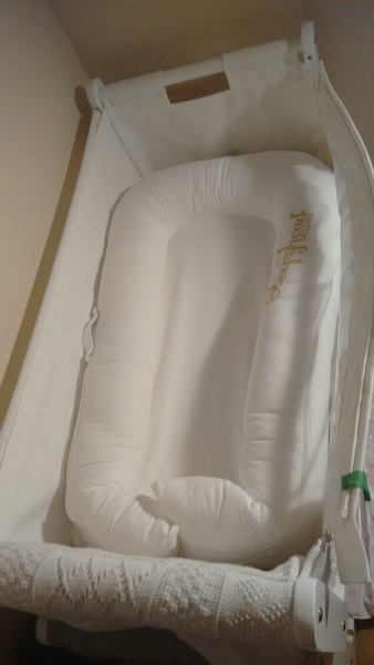 Sleepyhead or cocoon in a Snuzpod - anyone?