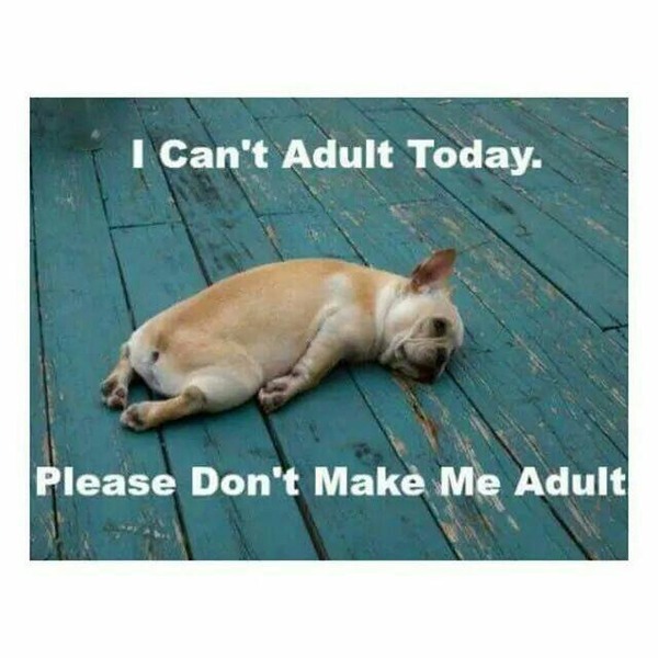 I absolutely hate working and believe it to be the worst thing about being an adult. AIBU?