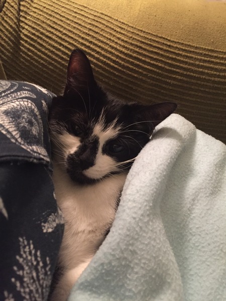 Look at my Precious Baby Fur Princess
