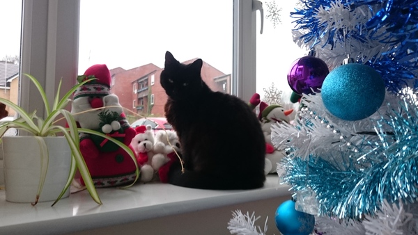 Look at my Precious Baby Fur Princess