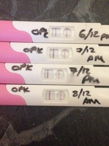 Thread 2. #Ttc1. We weren't supposed to start yet, but the starting pistol (penis) has gone off. Join our journey as we navigate the ovia boat, pissy sticks and symptoms spotting