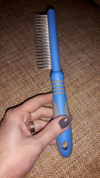 dog grooming
