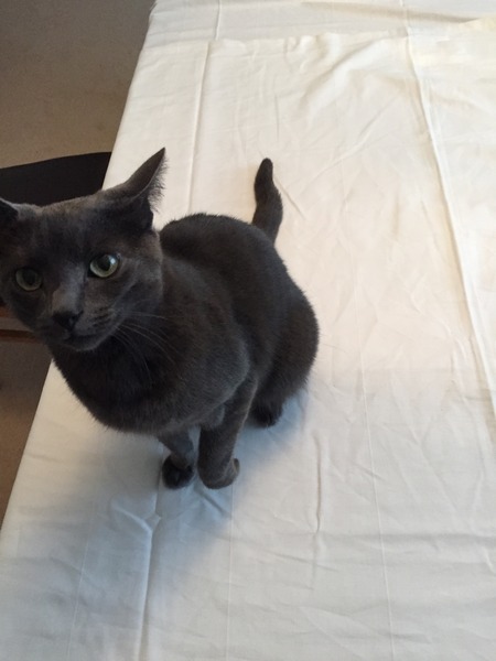 Look at my Precious Baby Fur Princess