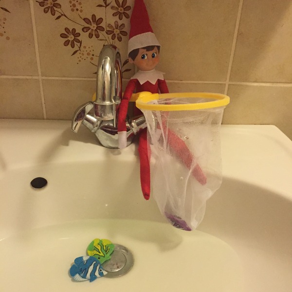 How is your Elf arriving?