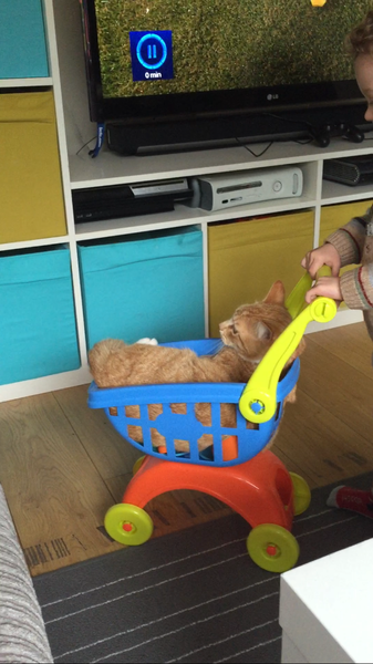 Tell us about (or show us!) the funniest places you've found your pet for a chance to win a Christmas hamper worth £100 and a copy of Oi Frog! by Kes Gray and Jim Field.