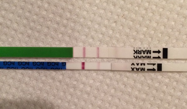 Ttc#1 THREAD 3. Some bfp's, some bfn's, cervical mucus examination class of what was supposed to be January 2016.